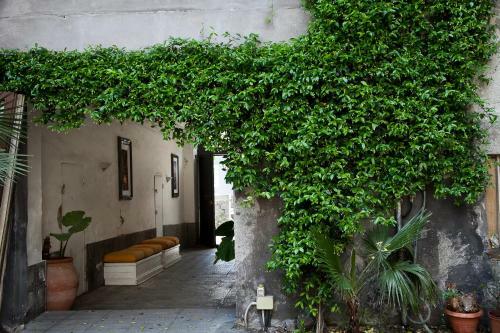 Alcal� Living Apartments