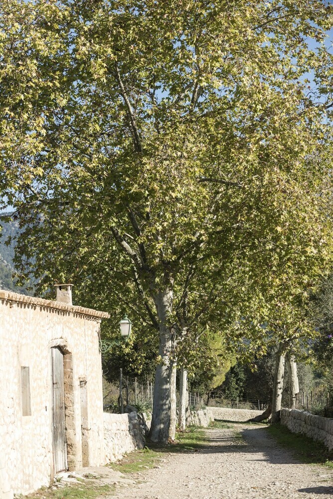 Villa Blanca