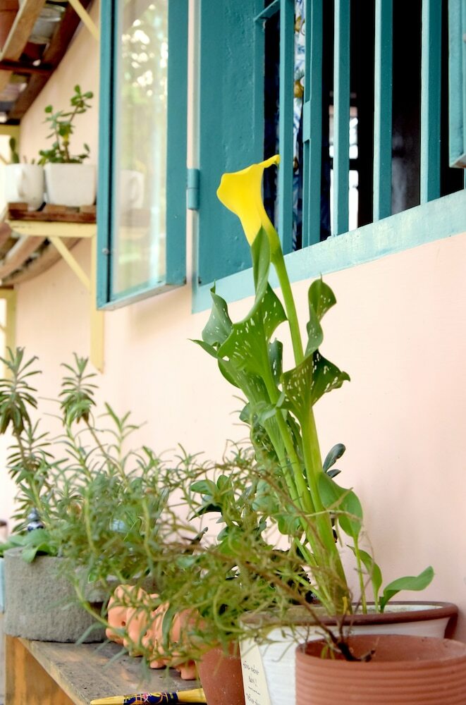 Hostal Py's House