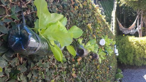Joinville Hostel & Pousada