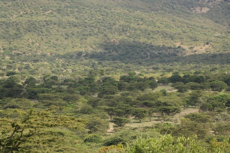 Elangata Olerai Luxury Camp