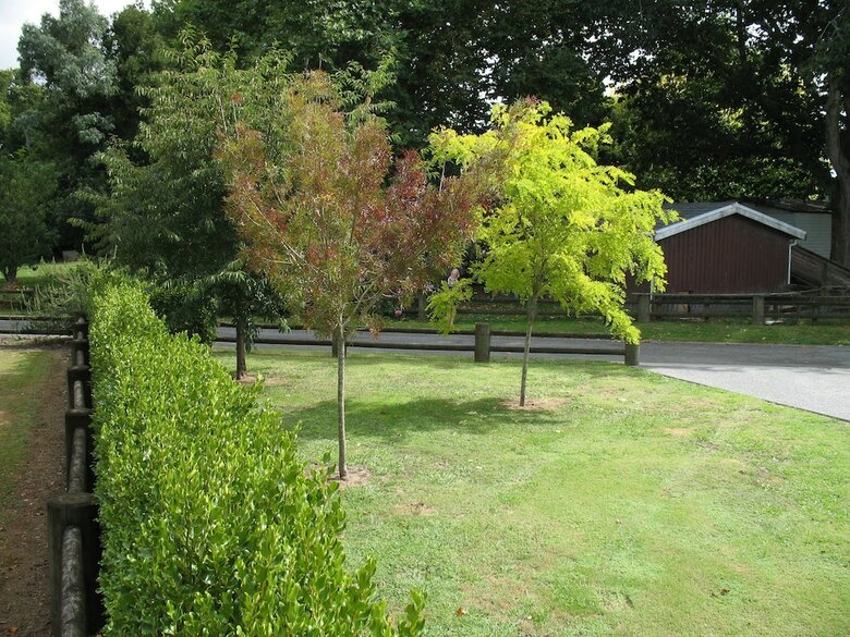 Bed & Breakfast Karapiro Willows Luxury B & B