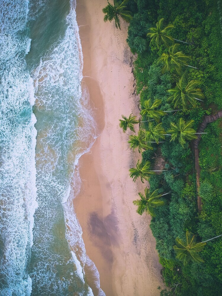 Aparthotel Sri Lankan Villa