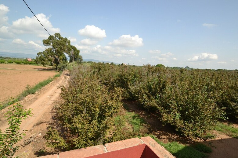 Villa Finca Miguel