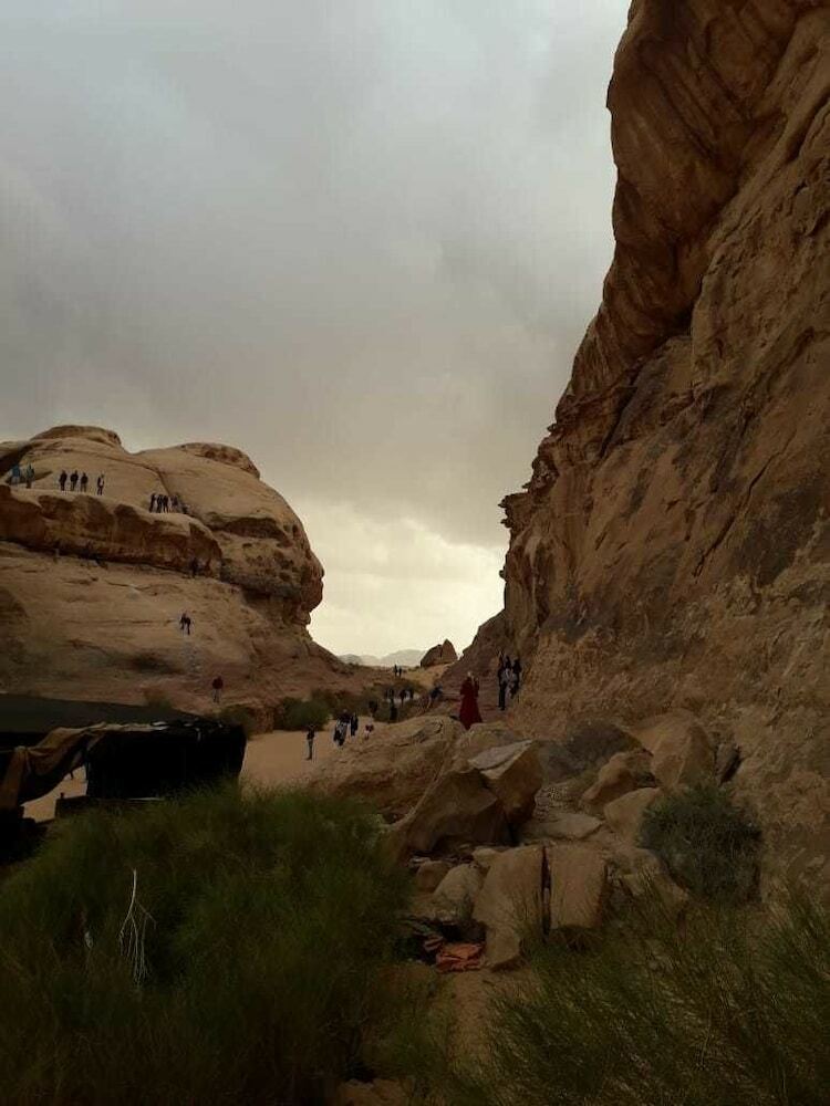 Desert Lovers Camp