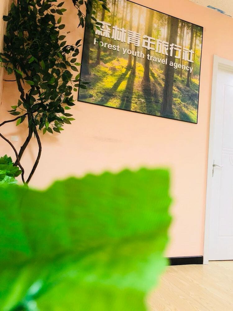 Hostal Forest Youth Hostel
