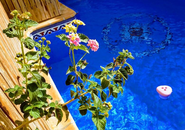 Dream Beach B&B