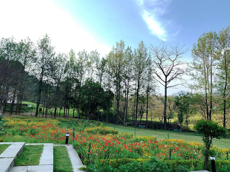Hotel Country Resort By Ahrpl - Katra