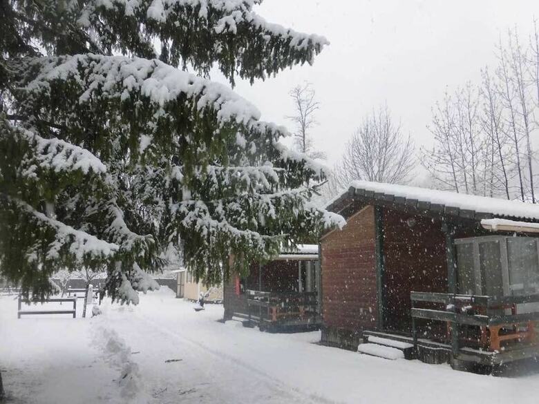 Camping Le Champ Du Moulin