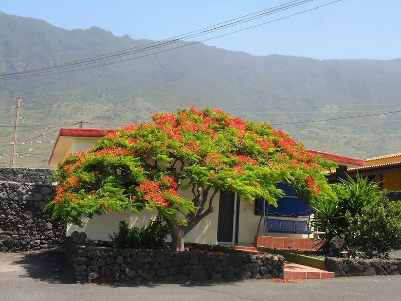 Casa Rita 3