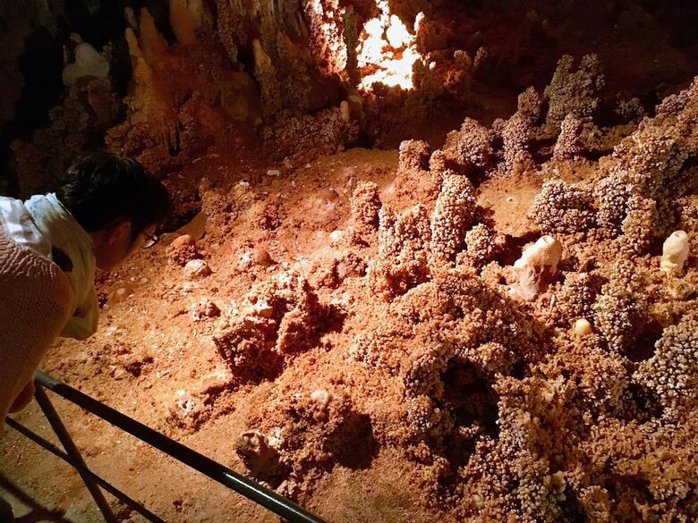 Cabana Aven Grotte Foresti�re