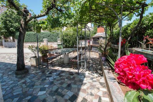 Apartments Divna