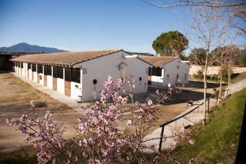 Agroturismo El Mas De Xet�