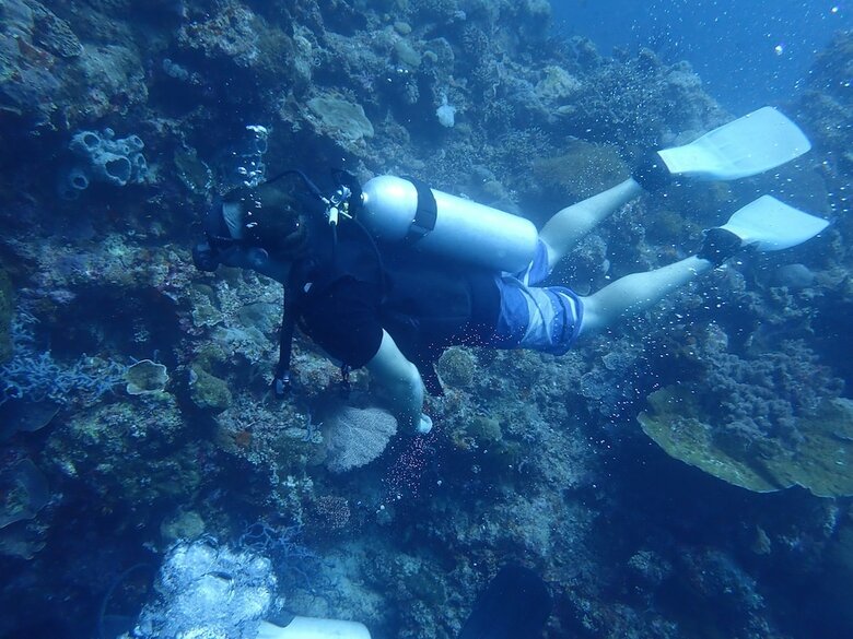 Bed & Breakfast Hoga Island Dive Resort Wakatobi
