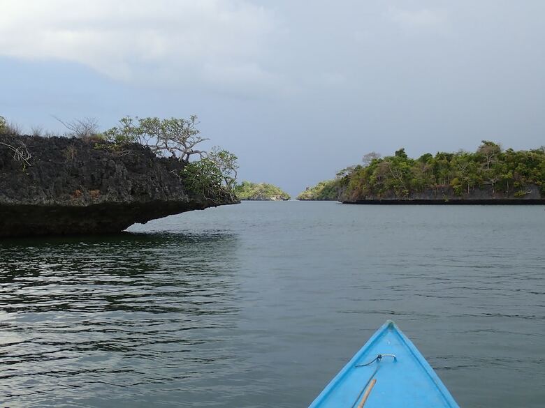 Bed & Breakfast Hoga Island Dive Resort Wakatobi