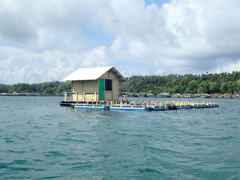 Bed & Breakfast Hoga Island Dive Resort Wakatobi