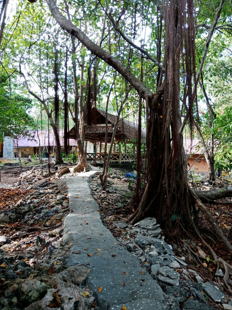 Bed & Breakfast Hoga Island Dive Resort Wakatobi
