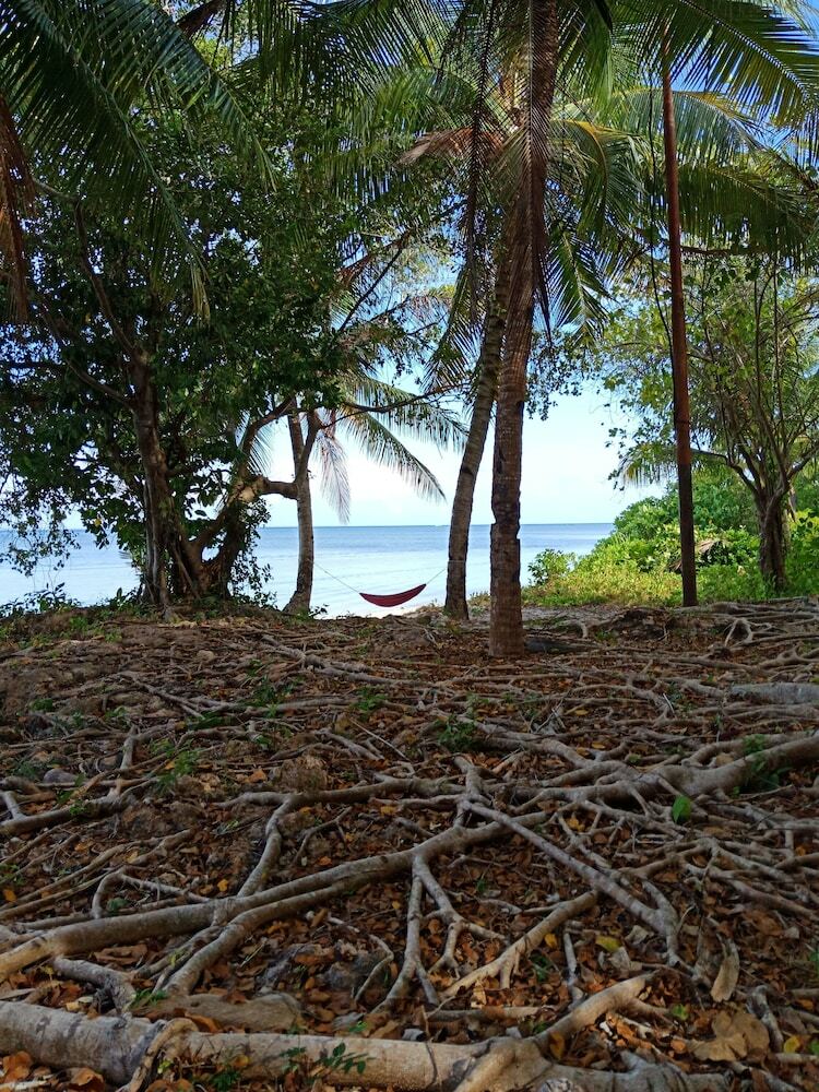 Bed & Breakfast Hoga Island Dive Resort Wakatobi