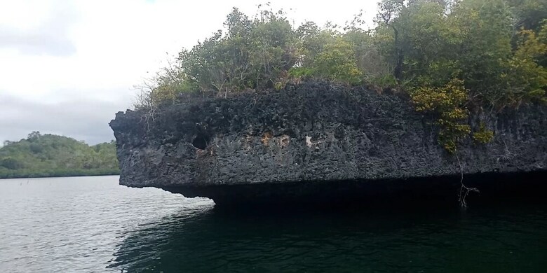 Bed & Breakfast Hoga Island Dive Resort Wakatobi