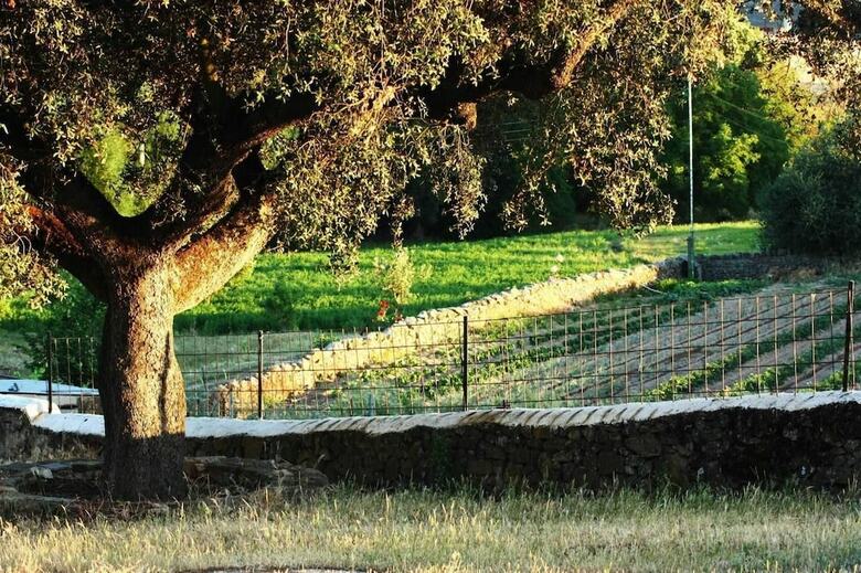 Agroturismo Casa Rural La Zafrilla
