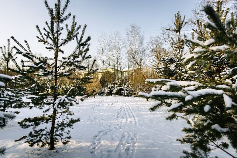 Villa Skokovo Park