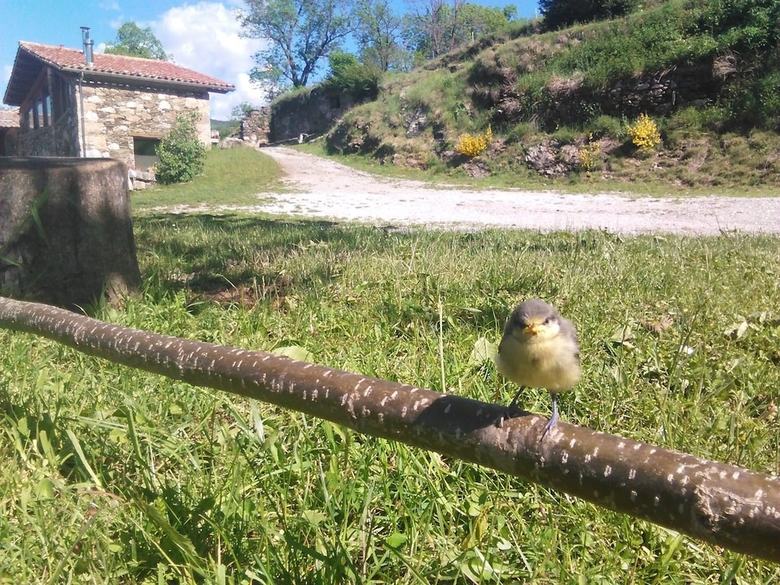 Agroturismo La Costa de Mollo