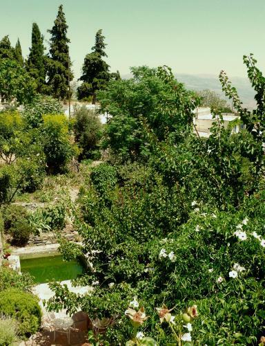 Hostal Vi�a Y Rosales