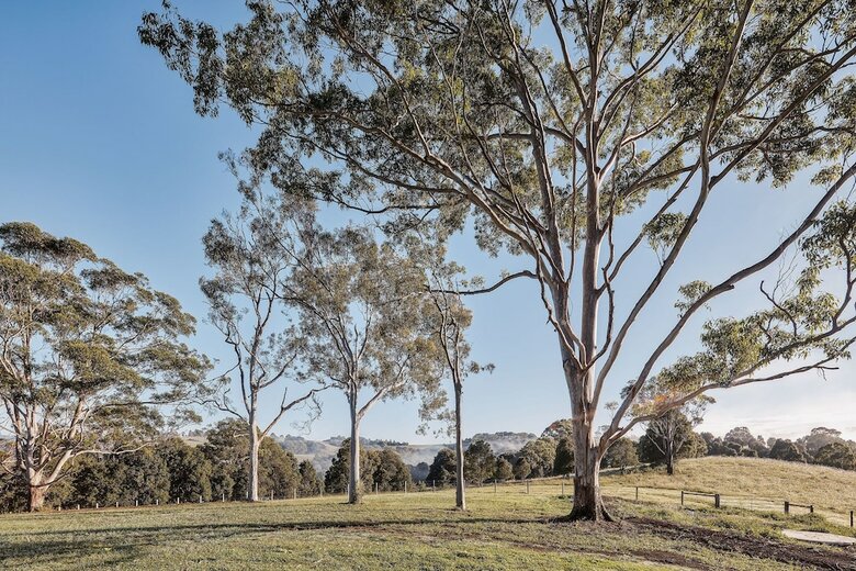 99 Acres Bangalow Retreat