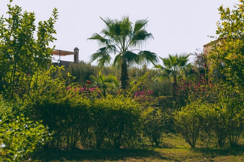 Hotel Fawakay Villas