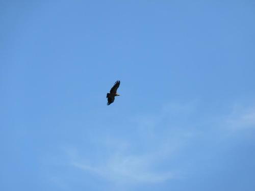 Hotel Posada Al Vent