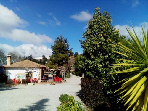 Camping Sierra Espu�a