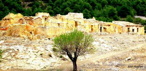 Camping Sierra Espu�a