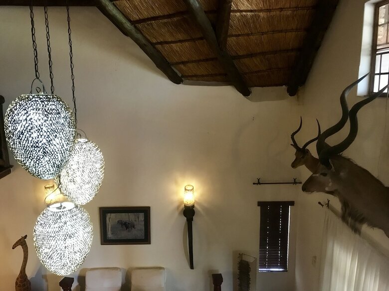 Rhinos Rest