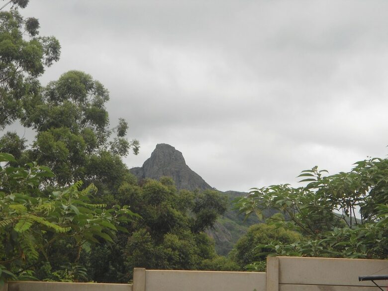 Hotel Rhino Rest Camp