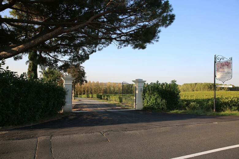 Les Cam�lias Des Demoiselles de Pallus
