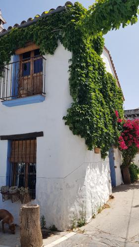 Casa La Yedra