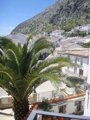 Apartamentos Buganvilla