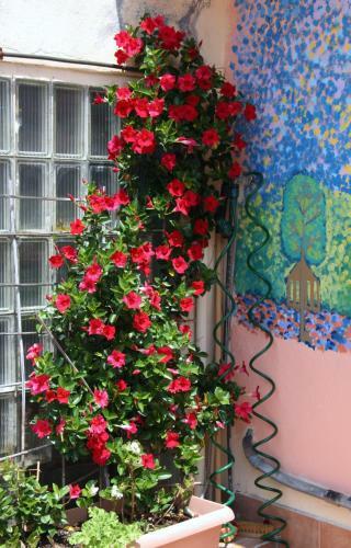 Hostal Akelarre Ostatua