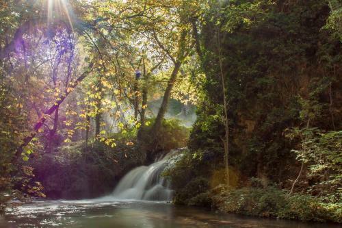 Suite Rural Carenas