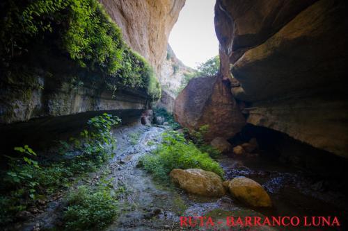 Hostal Los Naranjos