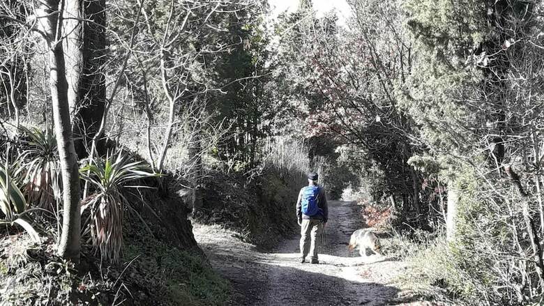 Bed & Breakfast I Poggiolo Di San Miniato