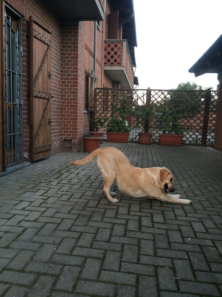 B&B Il Mio Gelso