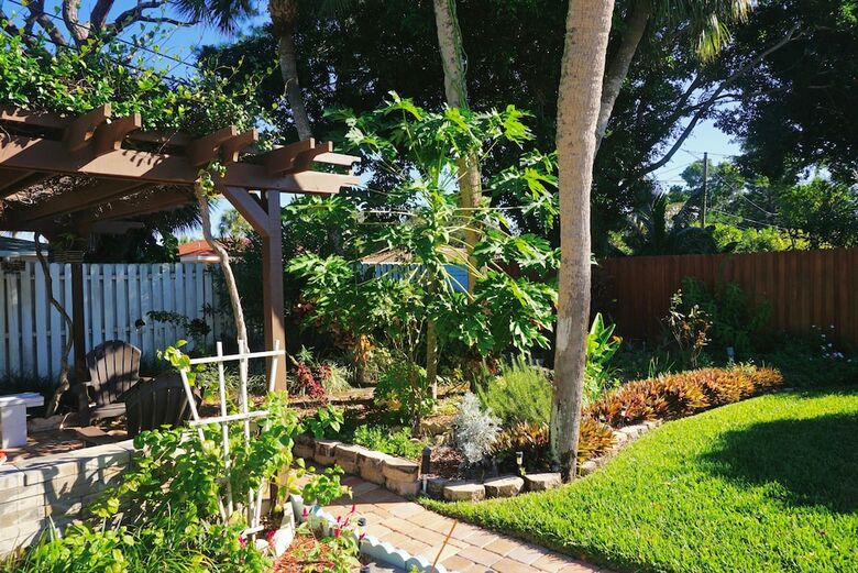 St Pete Beach, Backyard Sanctuary 154