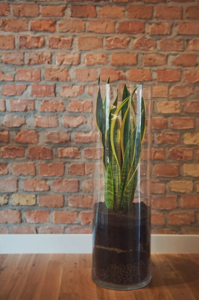 Apartamentos Projekt Piekary