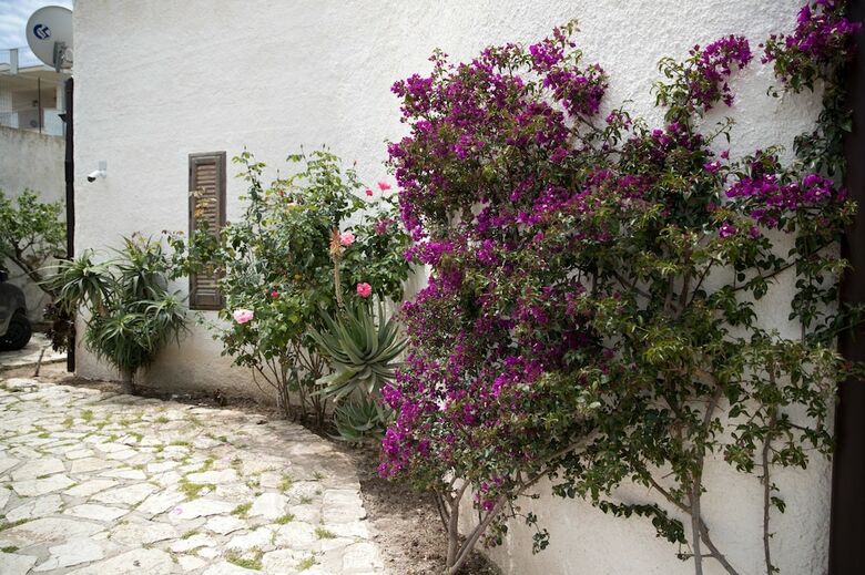 Villa Delle Conchiglie