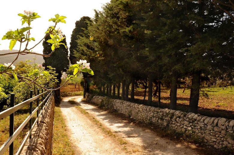 Il Grillo B&B
