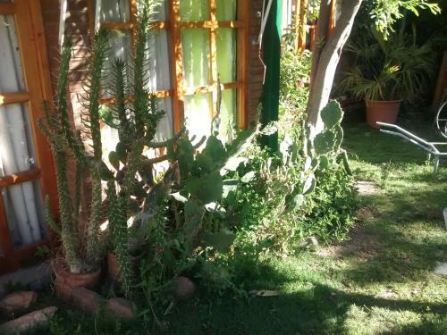 Lodge Caba�a Del Parque