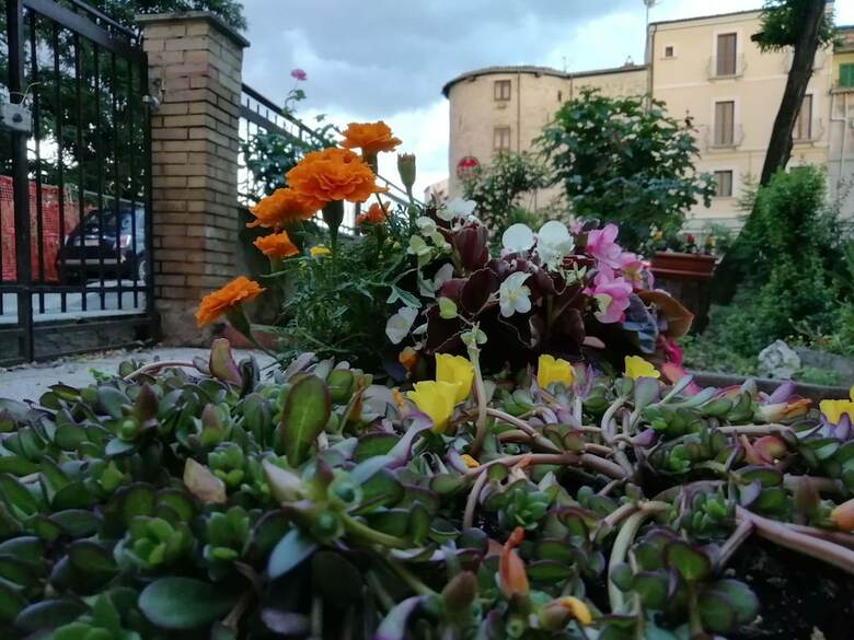 Apartamento B&B Balilla House