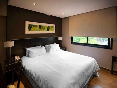 Hotel Grand Crucero Posadas Express