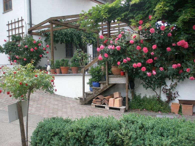 Landhotel Elfenhof